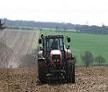 plati nationale directe, PNDR, agricultura, zootehnie plati nationale directe, PNDR, agricultura, zootehnie